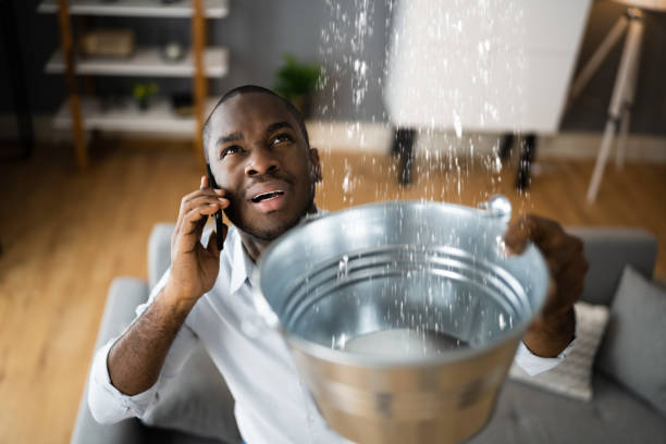 Best Water damage restoration near me  in Santee, CA