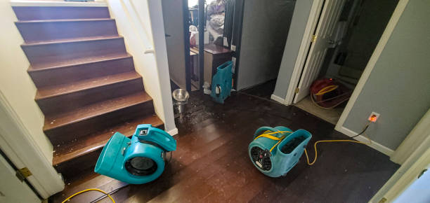 Professional Water damage restoration in Santee, CA