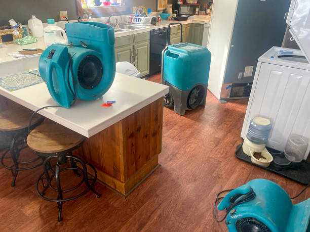 Best Water damage restoration services  in Santee, CA