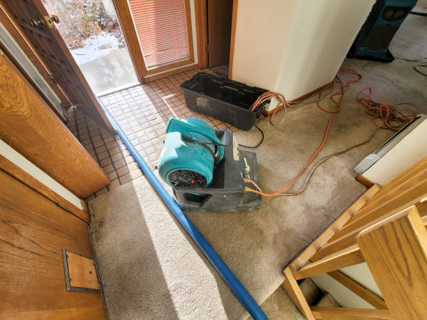 Best Professional water damage repair  in Santee, CA