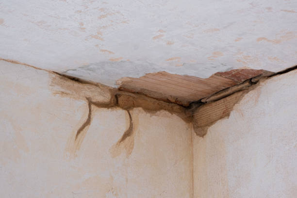 Trusted Santee, CA Water damage restoration Experts