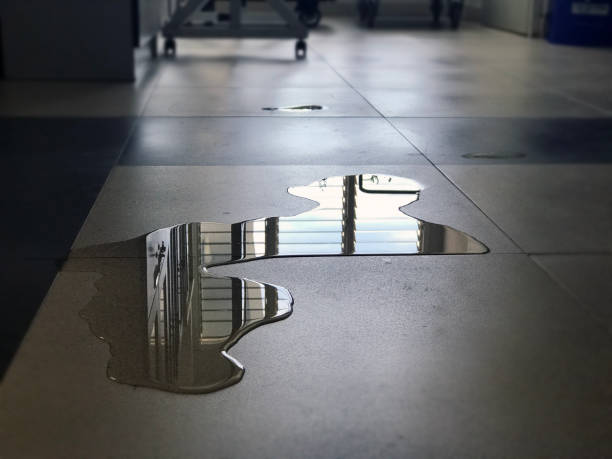 Best Water damage restoration company  in Santee, CA