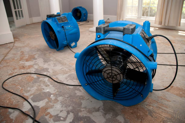 Best Mold removal after water damage  in Santee, CA