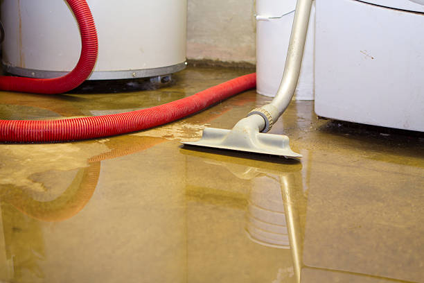 Best Fire Damage Restoration  in Santee, CA