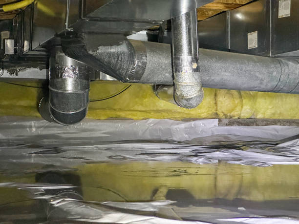  Santee, CA Water damage restoration Pros