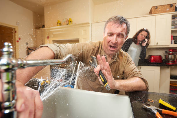 Best Professional water damage repair  in Santee, CA
